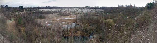 Panorama