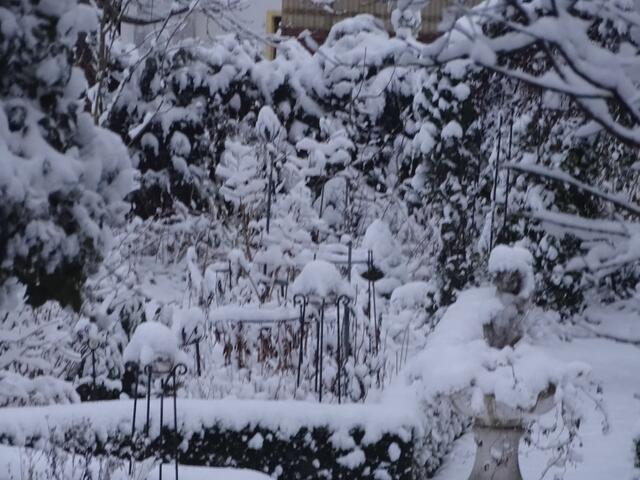 Gartenstelen mit Schneemütze