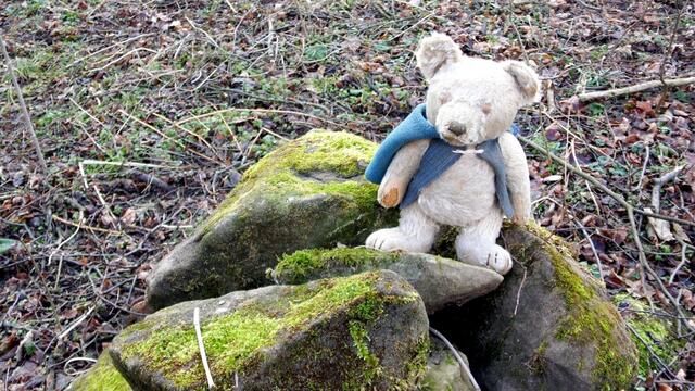 O`Brain im Steinbruch Nebra bei den Schneeglöckchen - Teil 2 !!!