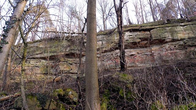O`Brain im Steinbruch Nebra bei den Schneeglöckchen - Teil 2 !!!