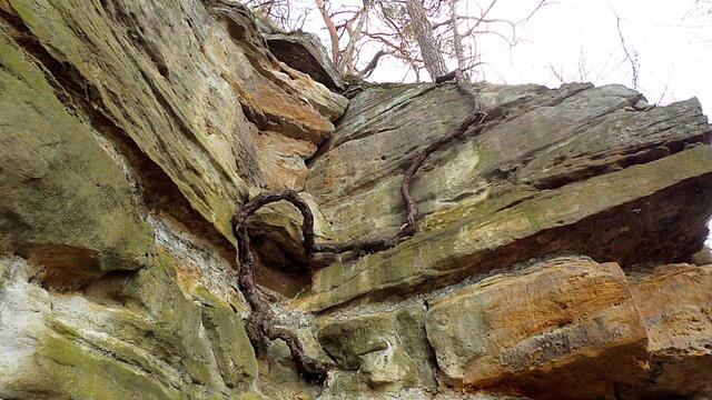 O`Brain im Steinbruch Nebra bei den Schneeglöckchen - Teil 2 !!!