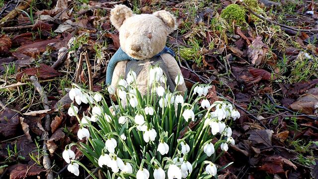 O`Brain im Steinbruch Nebra bei den Schneeglöckchen - Teil 2 !!!