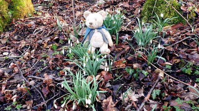 O`Brain im Steinbruch Nebra bei den Schneeglöckchen - Teil 2 !!!