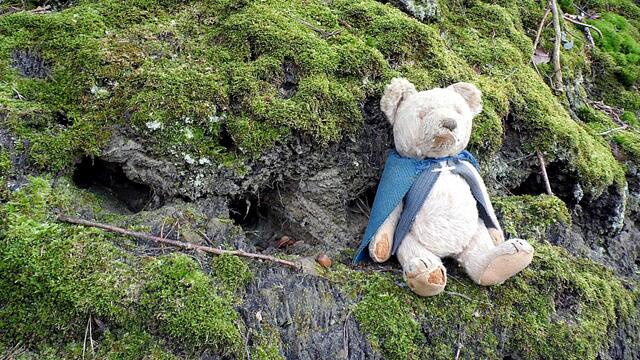 O`Brain im Steinbruch Nebra bei den Schneeglöckchen - Teil 2 !!!