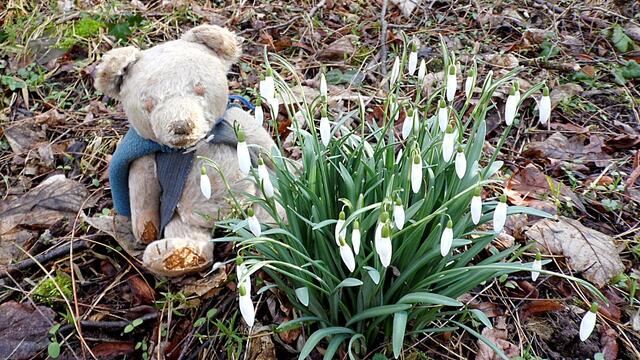 O`Brain im Steinbruch Nebra bei den Schneeglöckchen - Teil 2 !!!