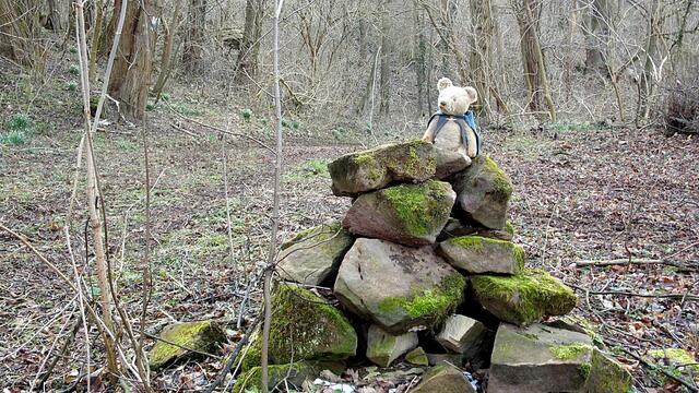 O`Brain im Steinbruch Nebra bei den Schneeglöckchen - Teil 2 !!!