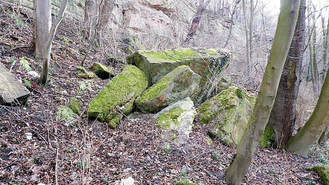 O`Brain im Steinbruch Nebra bei den Schneeglöckchen - Teil 2 !!!