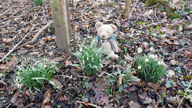 O`Brain im Steinbruch Nebra bei den Schneeglöckchen - Teil 2 !!!
