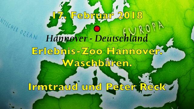 17. Februar 2018. Erlebnis-Zoo Hannover. Waschbären.