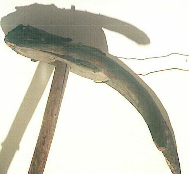lithauen Waldrapp oder Schwarzstorch