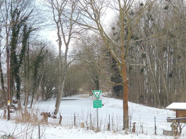 Der kleine Mühlenteich