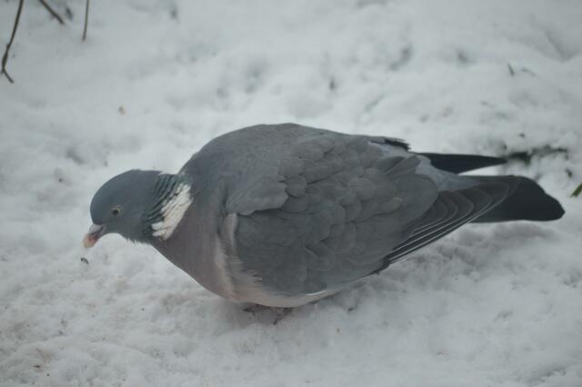 Ich hoffe ich habe die richtigen Bilder rausgepickt