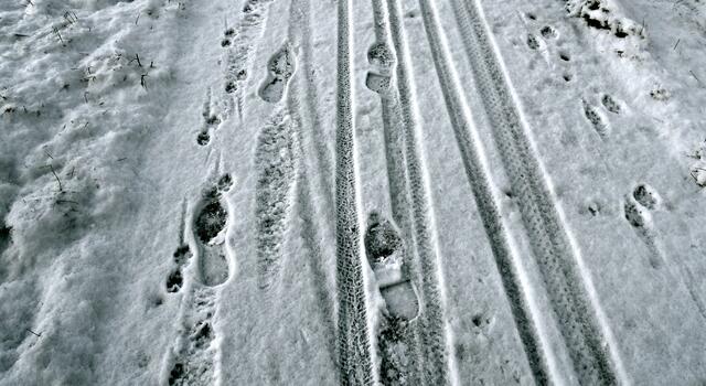 Alles was wir hinterlassen