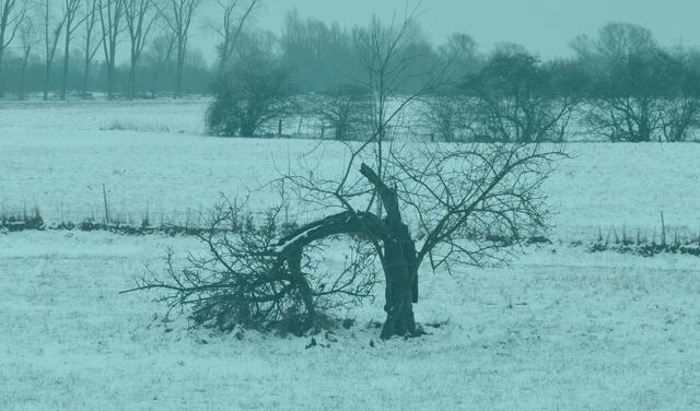 Durch das Alter gebäugt