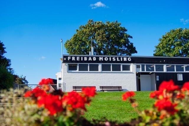 FB Moisling von Mai bis September