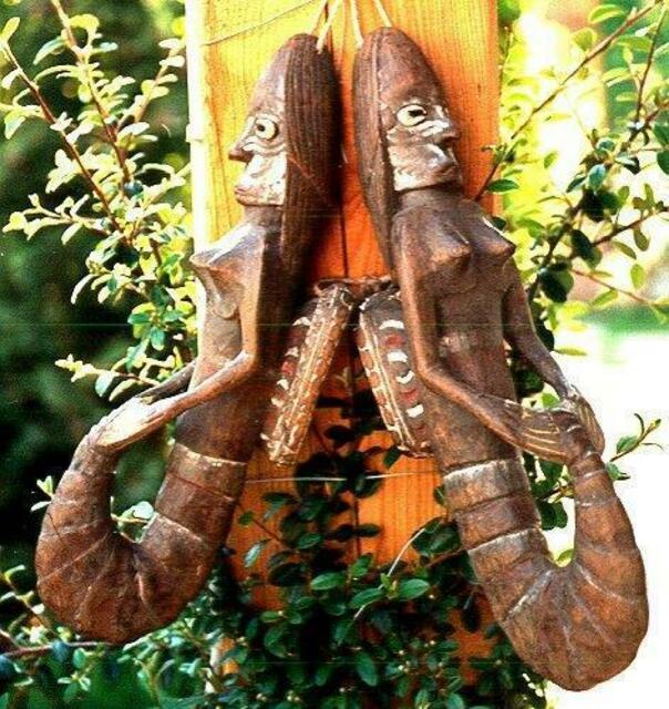 "Seepferdchen-Garnelenpaar", Sepik