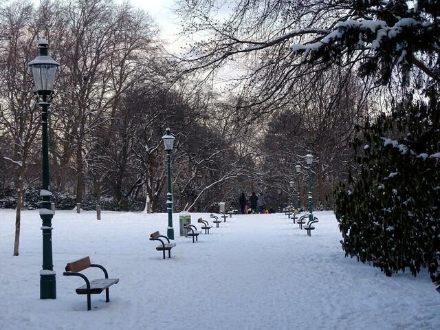 Winter im Kongresspark im 16. Wiener Gemeindebezirk Ottakring