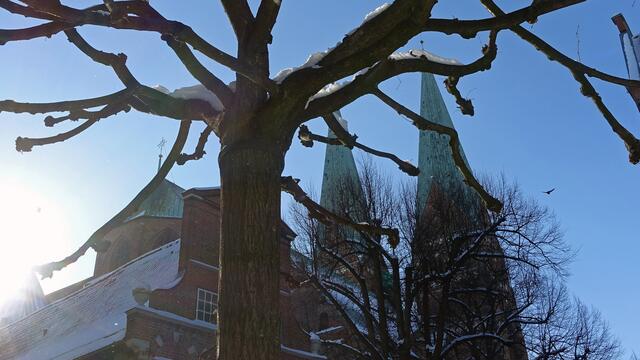 Doppelturmanlage von St. Marien. Foto: Helmut Kuzina