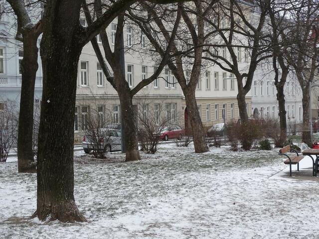 Winter auf dem Musilplatz im 16. Wiener Gemeindebezirk Ottakring