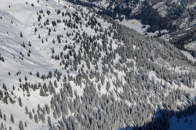 So langsam lassen wir die Baumgrenze hinter uns.