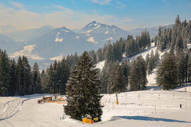 Gegen Abend wird das Licht weicher.