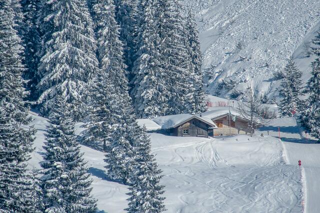 Auf der Schattenseite ducken sich Hütten in den Winterwald.
