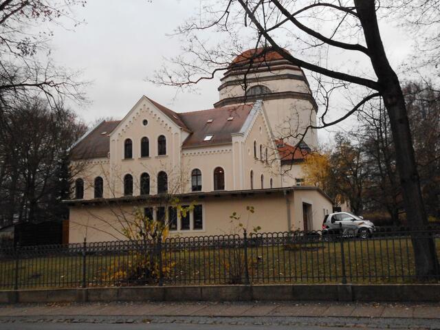 Baumschutz heißt nicht allein, dass Bäume eines gewissen Umfangs geschützt sind, sondern die Lebensverhältnisse von Bäumen gehören in die öffentliche Diskussion. Dieses Foto wurde im Prinzengarten in Celle aufgenommen. Der Wurzelteller von Bäumen wird durch parkende Autos verdichtet und durch abgestellte Abfälle belastet. | Foto: Annegret Pfützner