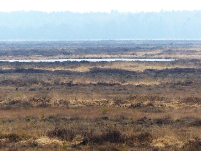 Derselbe Anblick im Februar. Der See ist mit einer dicken Eisschicht bedeckt.