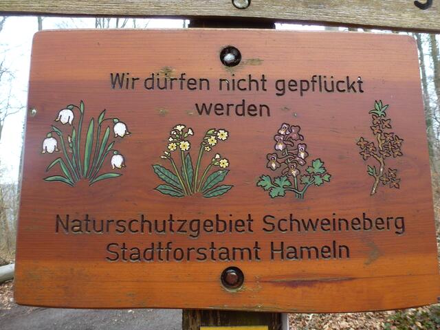 Ohne Worte