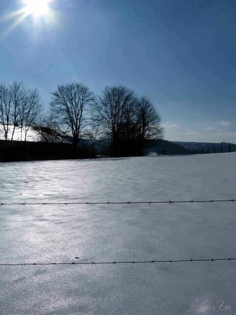 Eisfläche am Hang