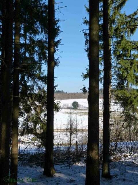 Schneelandschaft mit viel Wald- und Weidefläche