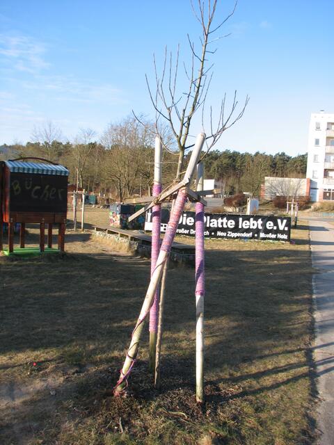 Hauptsache die Haltestützen sind liebevoll umhäkelt