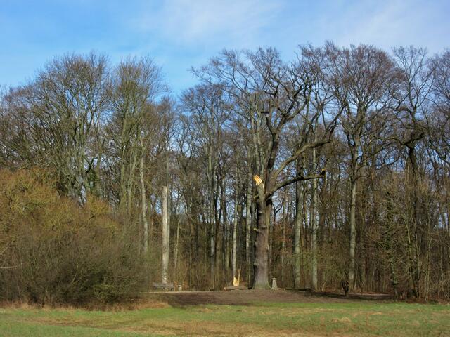 Klosterforst