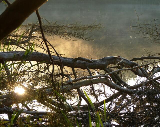 Der Nebel wabbert über dem See. Unvergessene Minuten in aller Frühe am Würmsee.