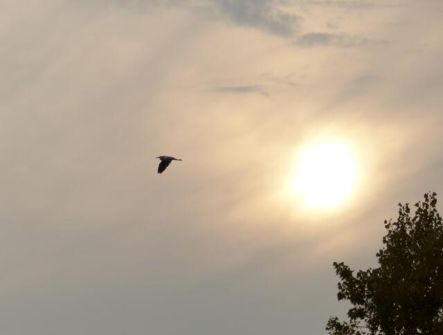 Eine Sekunde zu spät entdeckt...(?) bei einem wunderschönen Naturausflug unter Naturfreundinnen.