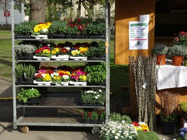 Ostermarkt im alten Allgemeinen Krankenhaus (AKH) Wien