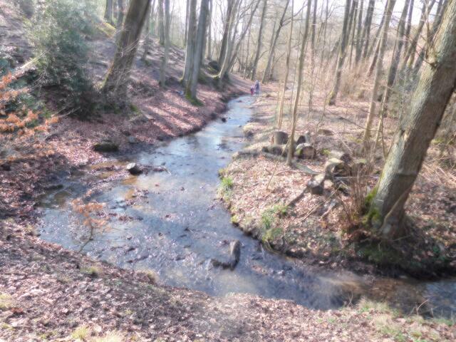 Das Rumbachtal in Mülheim