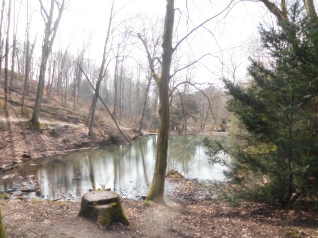 Das Rumbachtal in Mülheim