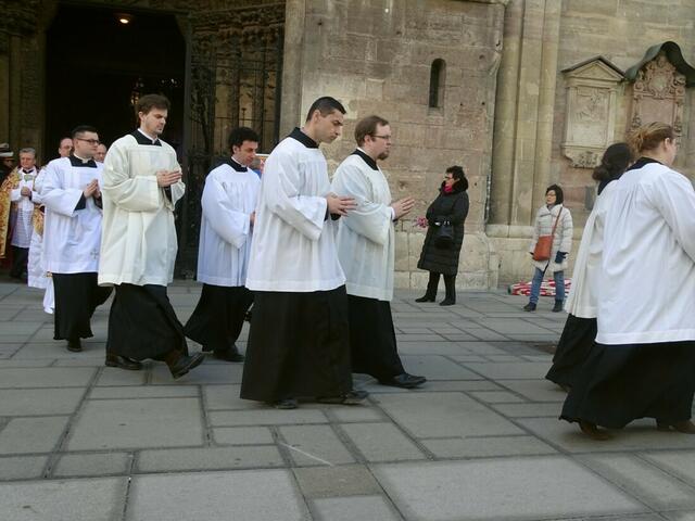 Palmsonntag 2018 im Wiener Stephansdom