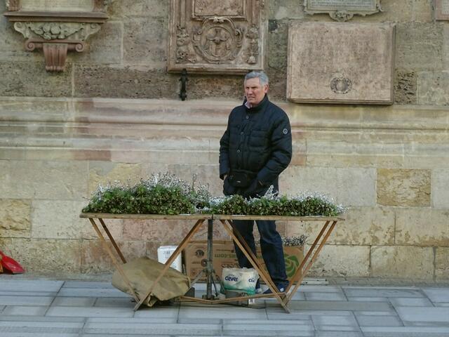 Palmsonntag 2018 im Wiener Stephansdom
