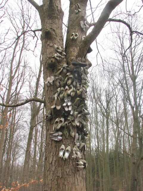 Man sieht es, hier kann man auch heiraten.Wie viele Paare wohl noch zusammen sind...