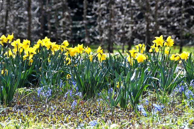 Gelbd und Blau herrscht zur Zeit am Boden vor.