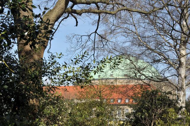Blick zur Stadthalle