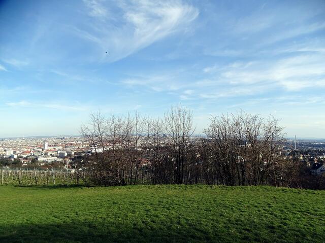 Blick auf Wien vom vorfrühlingshaften Wilhelminenberg