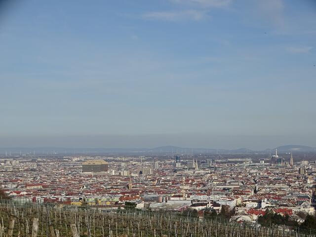Blick auf Wien vom vorfrühlingshaften Wilhelminenberg