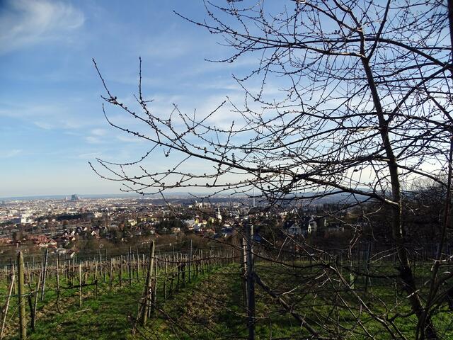 Blick auf Wien vom vorfrühlingshaften Wilhelminenberg