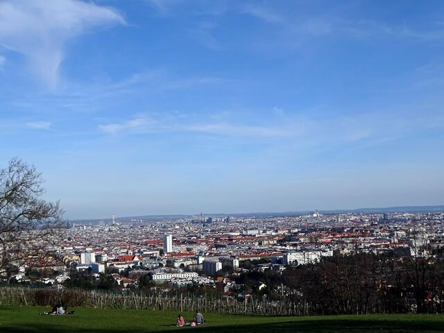 Blick auf Wien vom vorfrühlingshaften Wilhelminenberg