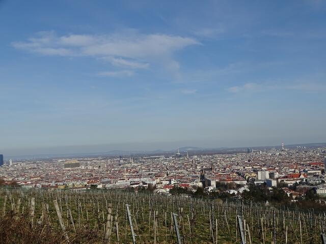 Blick auf Wien vom vorfrühlingshaften Wilhelminenberg