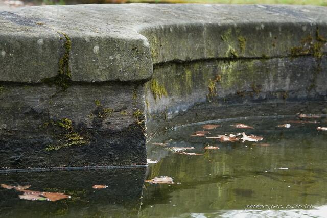 Friedhofsbrunnen....