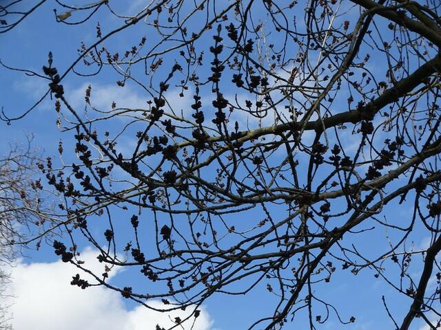 Wilhelminenberg Wien